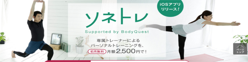 \lgTCg